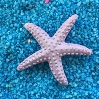 DEYUER SIMULACT STARFISH LIFELIKE REALISTIČKA PLASTIČNA Slatka umjetna morska zvijezda za zid, kafu