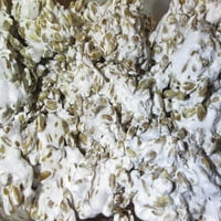 Lb shiitake gljiva mrijest mycelium za uzgoj gurmanskih i ljekovitih gljiva kod kuće ili komercijalno