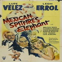 Meksički Spitfire's Elephant - Movie Poster