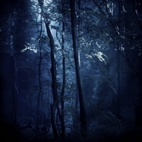 Dark, Misty Forest, Liselund Slotspark, Danska. Print plakata