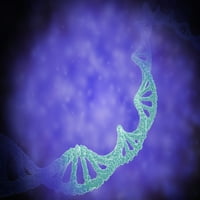 Stilizirani pogled na pramenove ljudskog DNK ili deoksiribonukleinske kiselinske kiselo