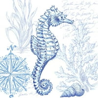 Obalna skica za morsko konjsko poster Print Tree Sorelle Studios Tre Sorelle Studios