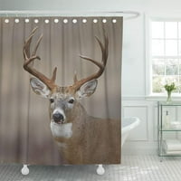 Trofej Whitetail Buck Deer Midwestern Lov Illinois Ohio Wisconsin Minnesota Cucar za kupatilo za kupanje