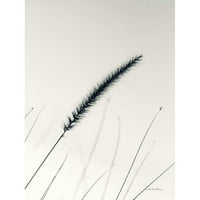 Van Swearingen, Debra Crni moderni uokvireni muzej umjetnički print pod nazivom - Poljska trava v