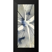 Allen, Kimberly Crni moderni uokvireni muzej umjetnički print pod nazivom - prozirna 1
