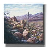 Kaktus epskog grafita u pustinji Barbara Felisky, platno Zidna umjetnost, 30 x26