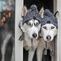 Eastshop pseći šeširi Vjetrootporni fini kitit Komforni smiješni zimski pas kape za vanjski
