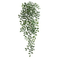 Mnjin simulirani zeleni list zid viseći loze porodični ukras simulirani zeleni list klorofit vinove