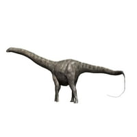 Diplodokus dinosaur, bijeli pozadinski poster Ispis