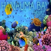 Hanauma Bay, Hawai'i, Riba i koralj