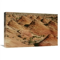Globalna galerija u. Vjetar kipao Colorado Sandstone, Paria Canyon, Arizona Art Print - Gerry Ellis