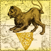 Leo Constellation, Zodijački znak, Hevelius Poster Print Science izvora