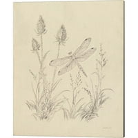 Sjajna umjetnost sada Vintage Priroda Sketchbook od Danhui Nai Platnena umjetnost postavila svaki 12