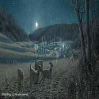 Noćni potezi-bijeli jelen