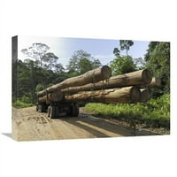 In. Kamion sa drvenom gabrom sa područja za štampe, područje konzervacije doline DANUM, Borneo, Malezija