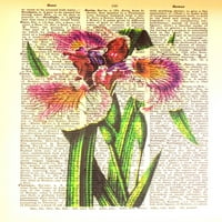 Art n wordz iris cvjetni buket originalni rječnik pjevnički pop umjetni zid ili radni stol art print