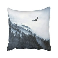Crne šume planine magle i orao bijela Moody Podružnica mirno oblačno crnogorični jastučni jastuk na