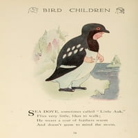 Bird Children mali auk poster Print M.T. Ross