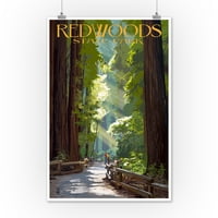 Park Redwoods, Kalifornija, Put na drveću